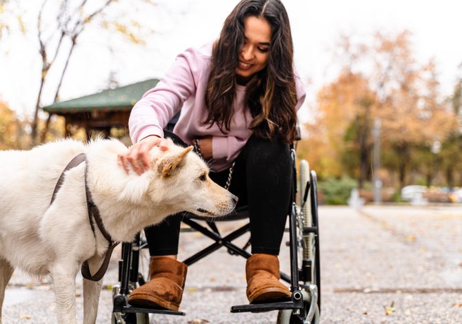 Business banking tools